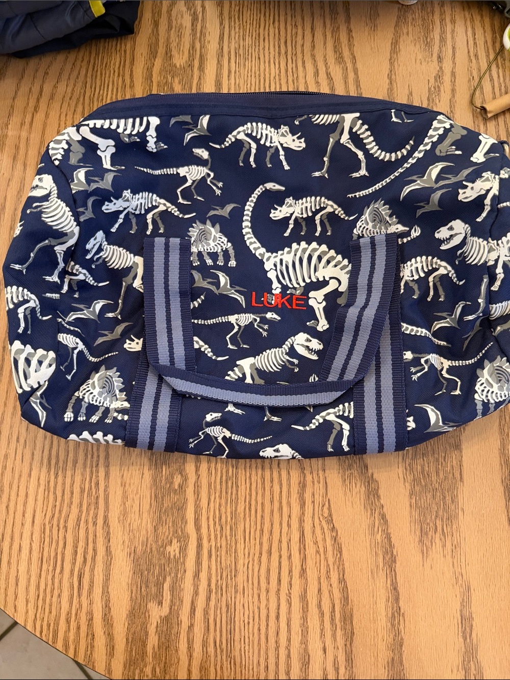 Pottery Barn Kids Navy Dinosaur Skeleton Toddler Duffel Bag embroidered name